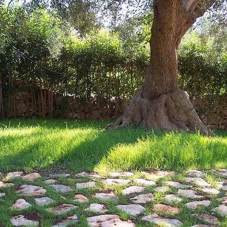 Giulia In Tatil Evi *