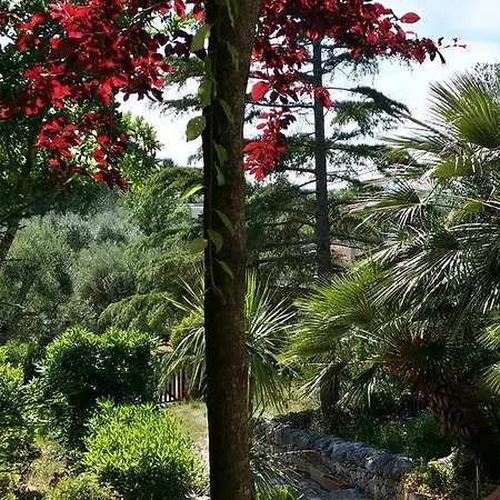 Tatil Evi Giulia In
